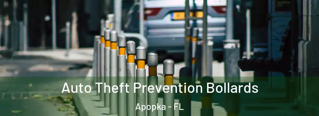  Auto Theft Prevention Bollards Apopka - FL