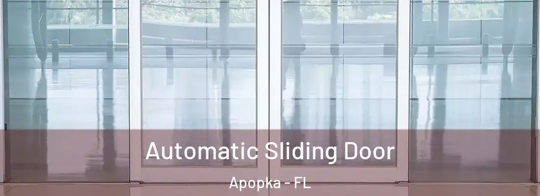 Automatic Sliding Door Apopka - FL