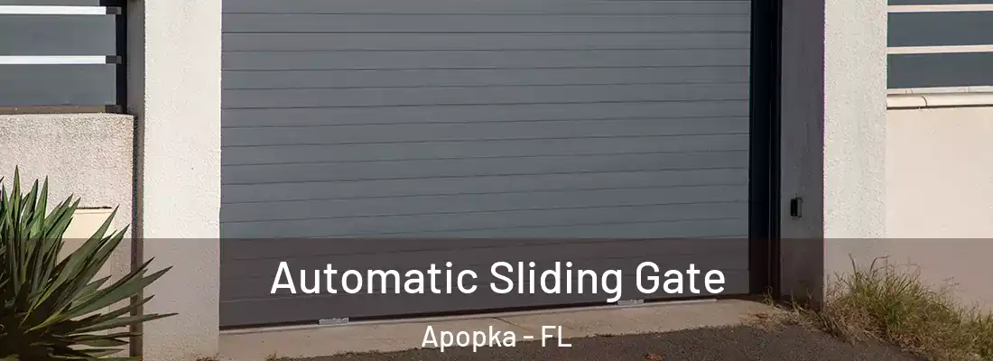 Automatic Sliding Gate Apopka - FL