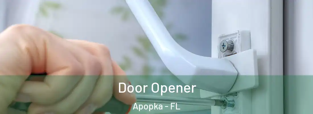 Door Opener Apopka - FL