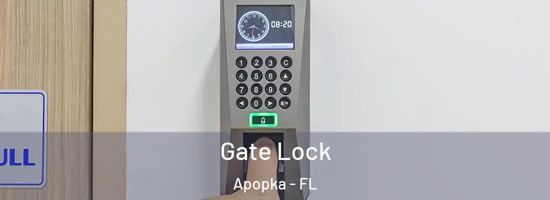 Gate Lock Apopka - FL