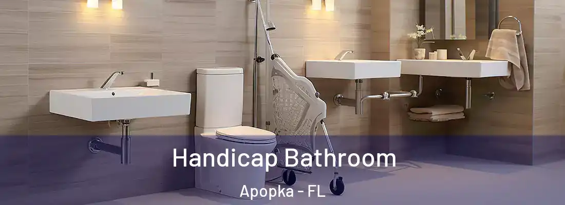 Handicap Bathroom Apopka - FL