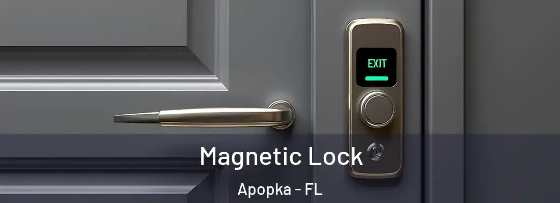  Magnetic Lock Apopka - FL