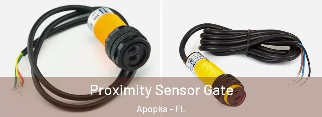  Proximity Sensor Gate Apopka - FL