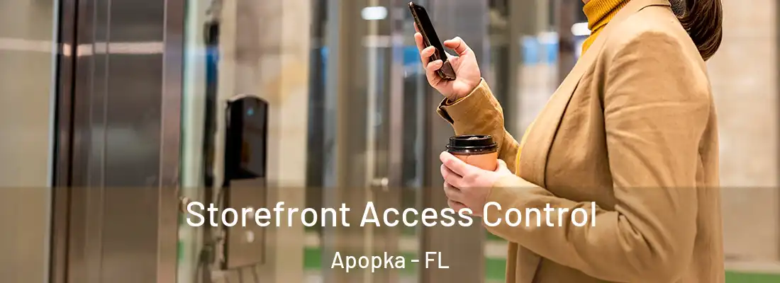 Storefront Access Control Apopka - FL